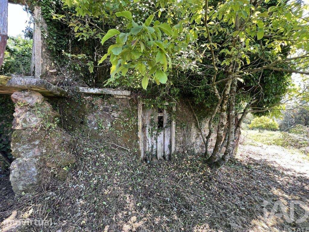Casa / Villa em São Miguel, Santa Eufémia e Rabaçal de 144,00 m2 - Grande imagem: 2/28