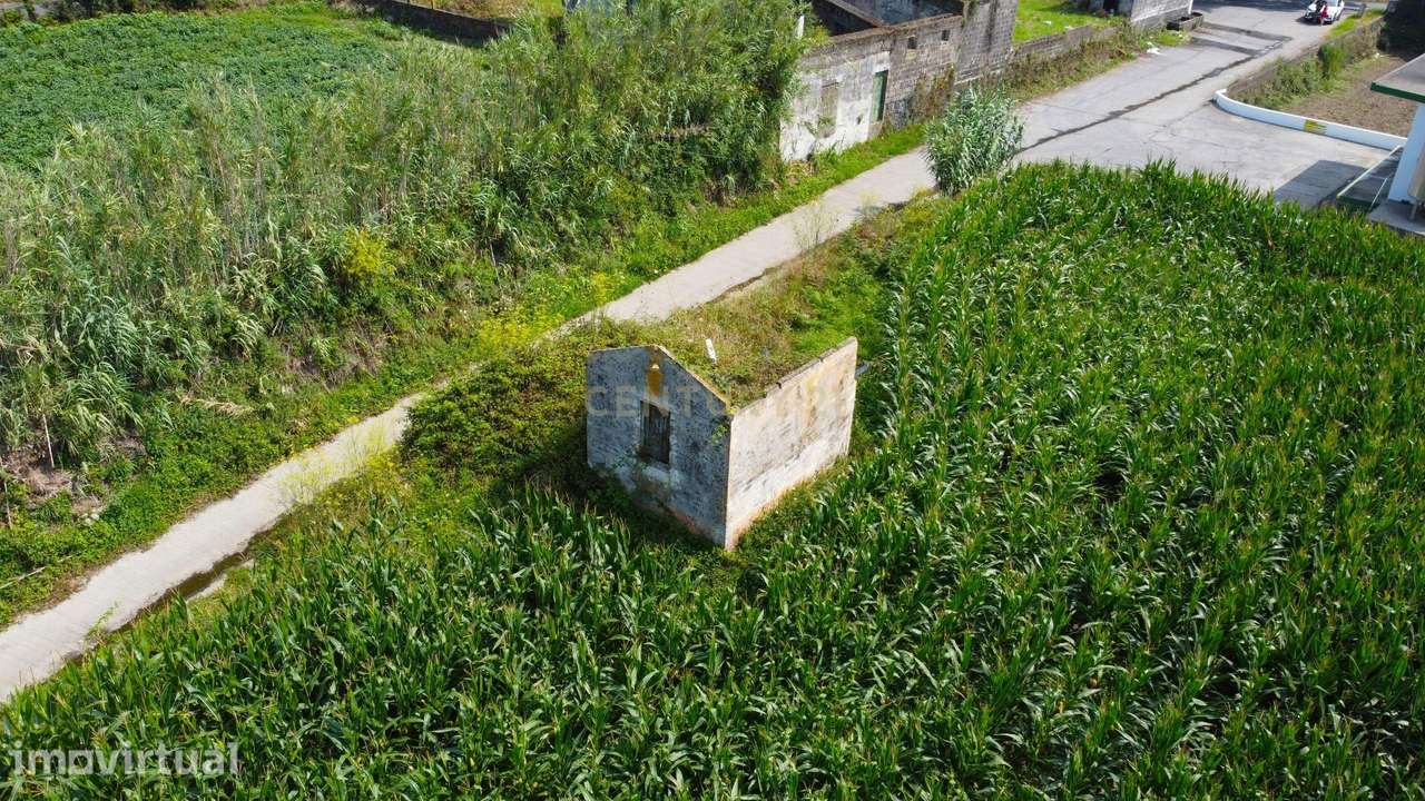 Amplo terreno com 10.620 m² em Água de Pau, Lagoa - Grande imagem: 2/8
