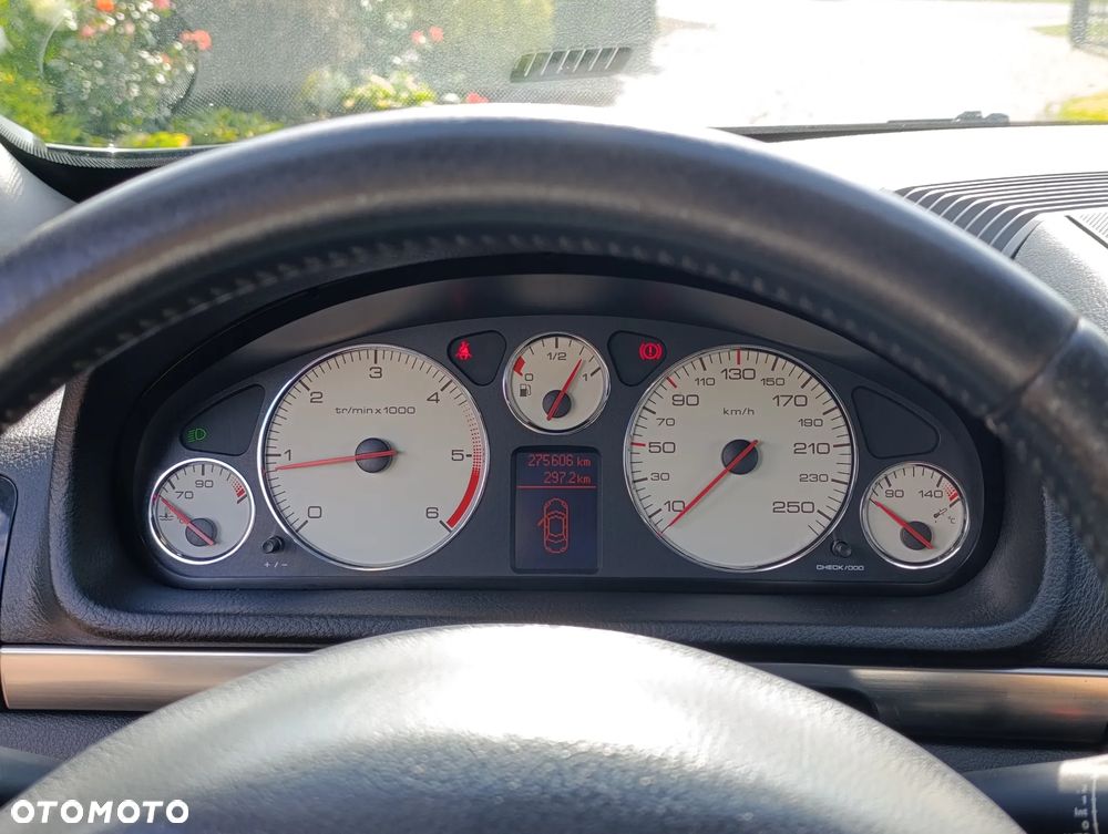 Peugeot 407 - 30