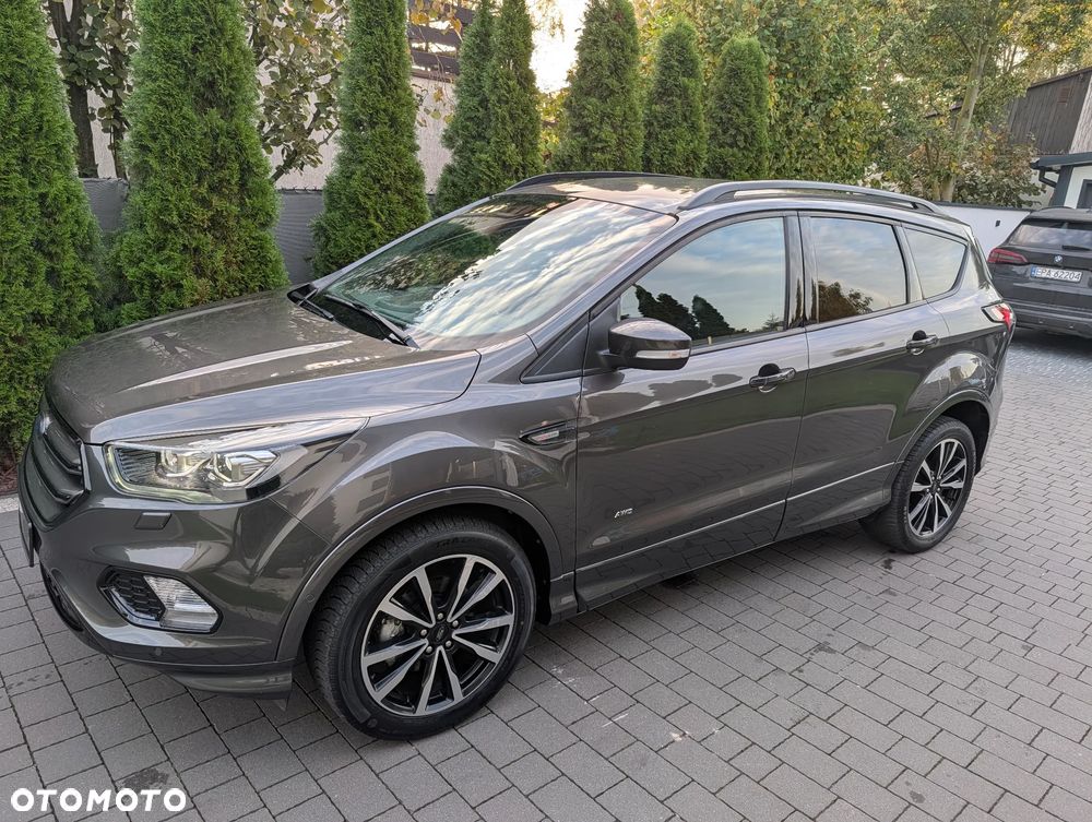 Ford Kuga 2019 photo 2