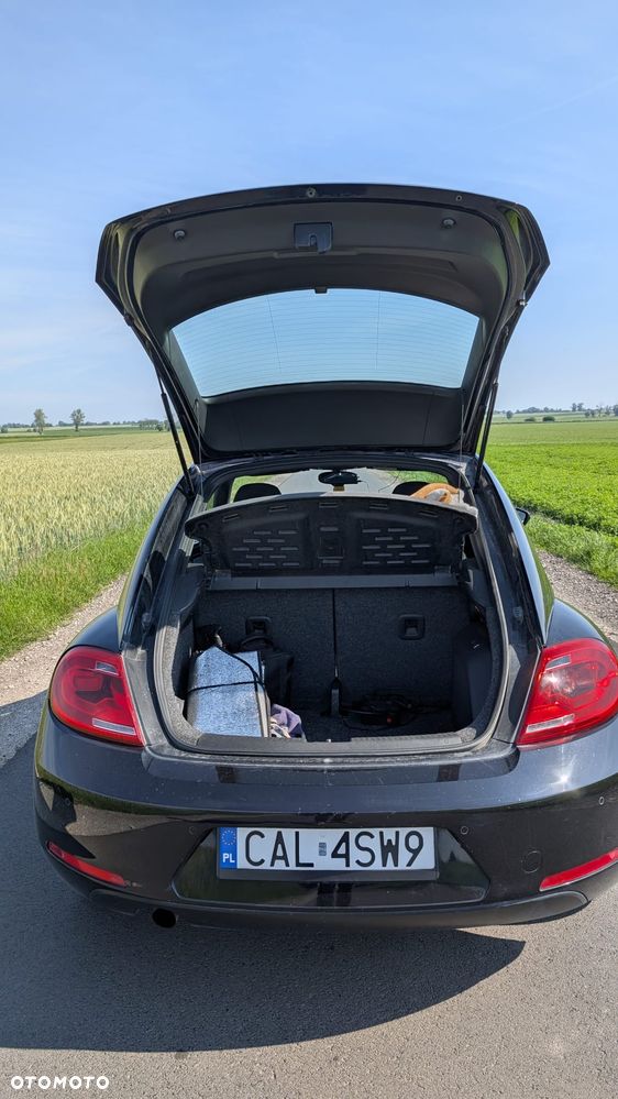 Volkswagen Beetle - 22