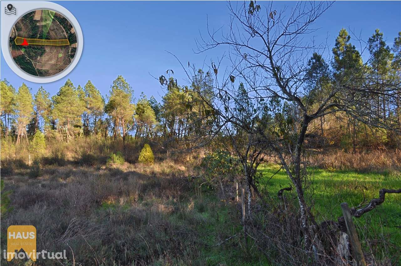 Terreno com 11.880 m² à venda em Castelo Branco. - Grande imagem: 3/26