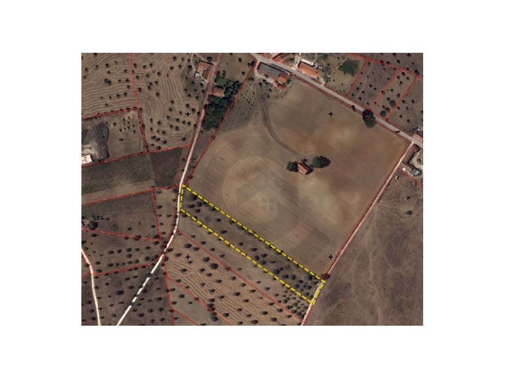 Terreno - Casal bernardino, Casével, Santarém - Grande imagem: 5/5