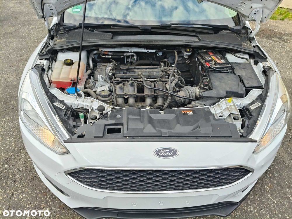 Ford Focus - 8