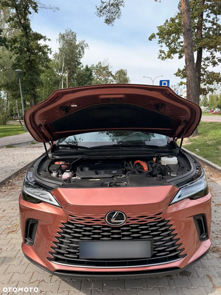 Lexus RX 300 Business Edition - 16