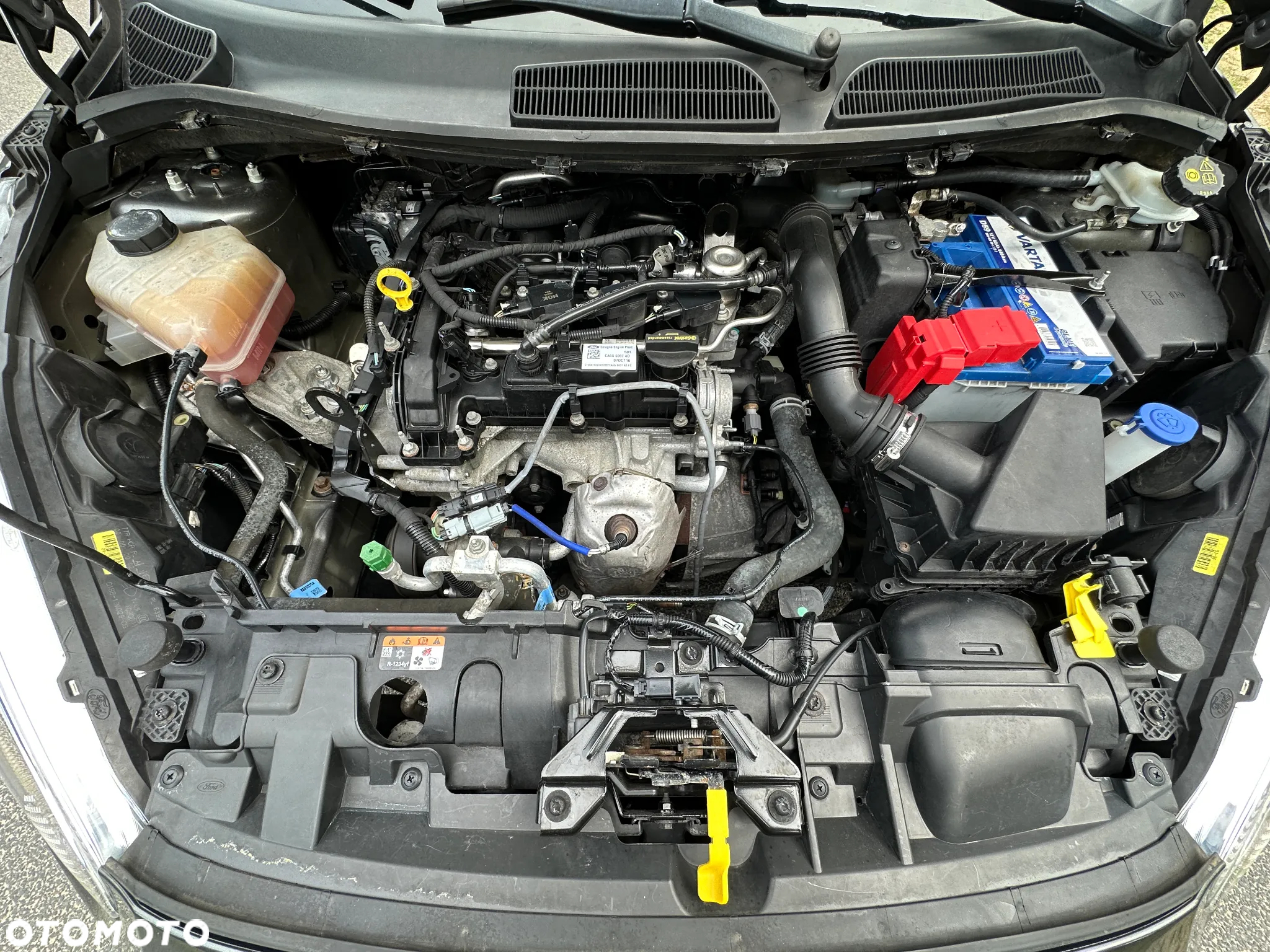 Ford Fiesta - 31