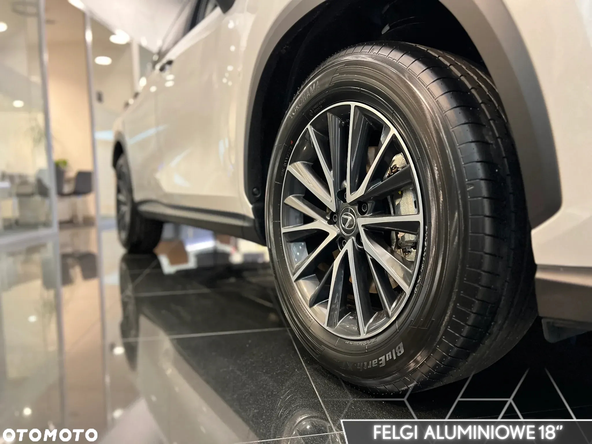 Lexus NX - 13