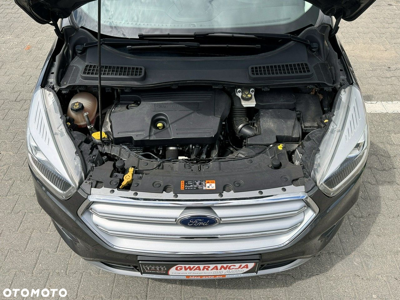Ford Kuga - 18