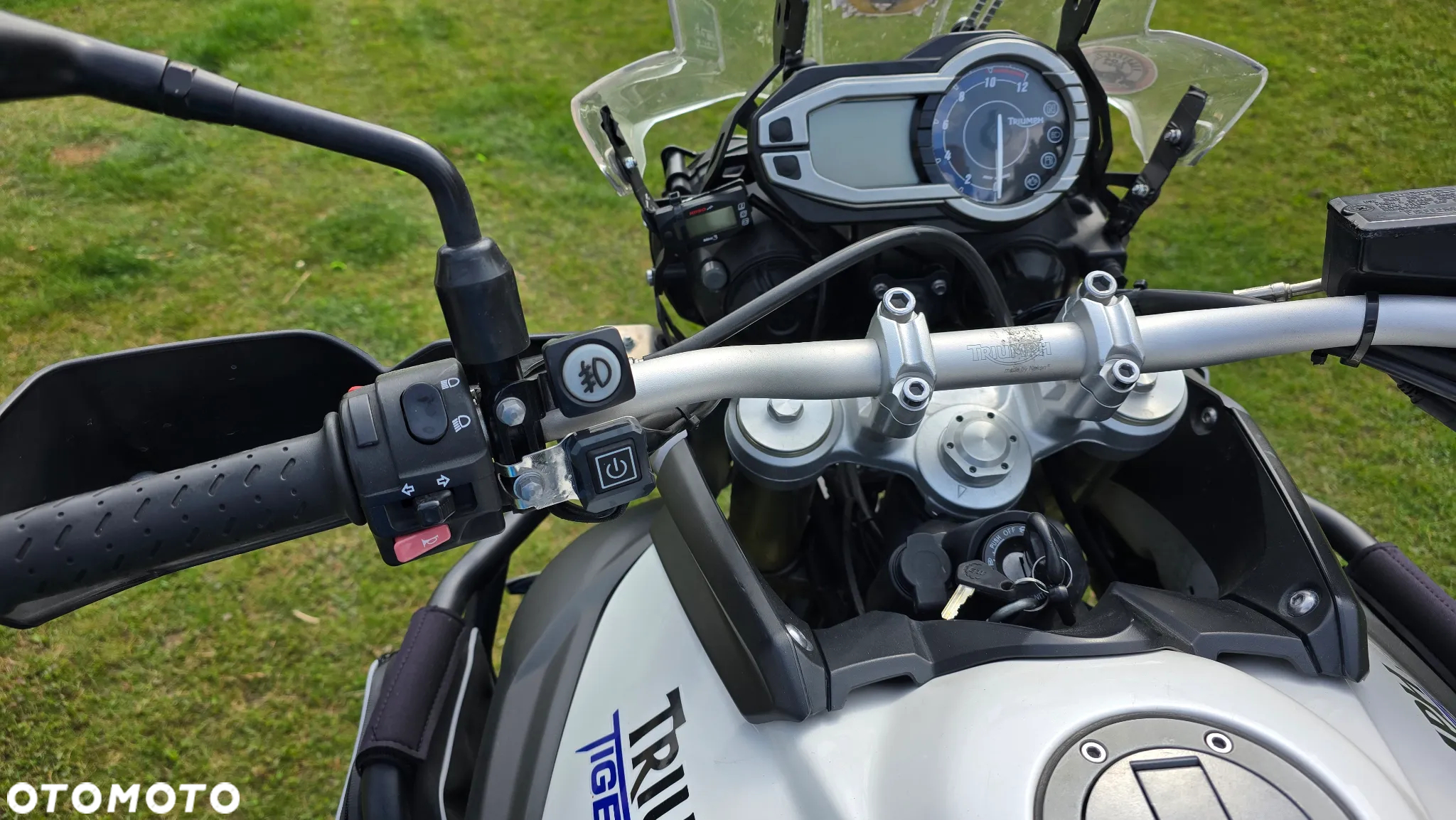 Triumph Tiger