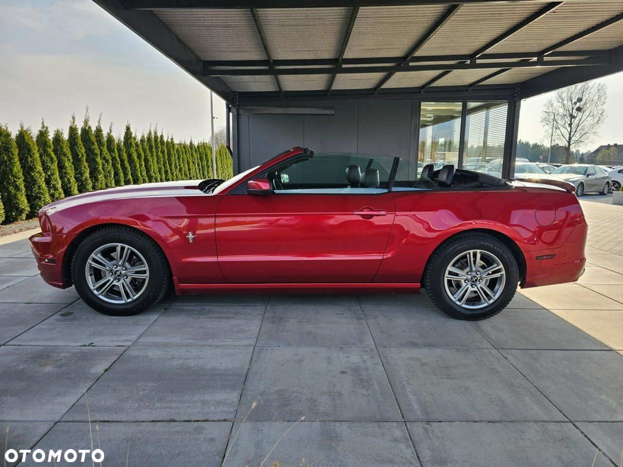 Ford Mustang - 5