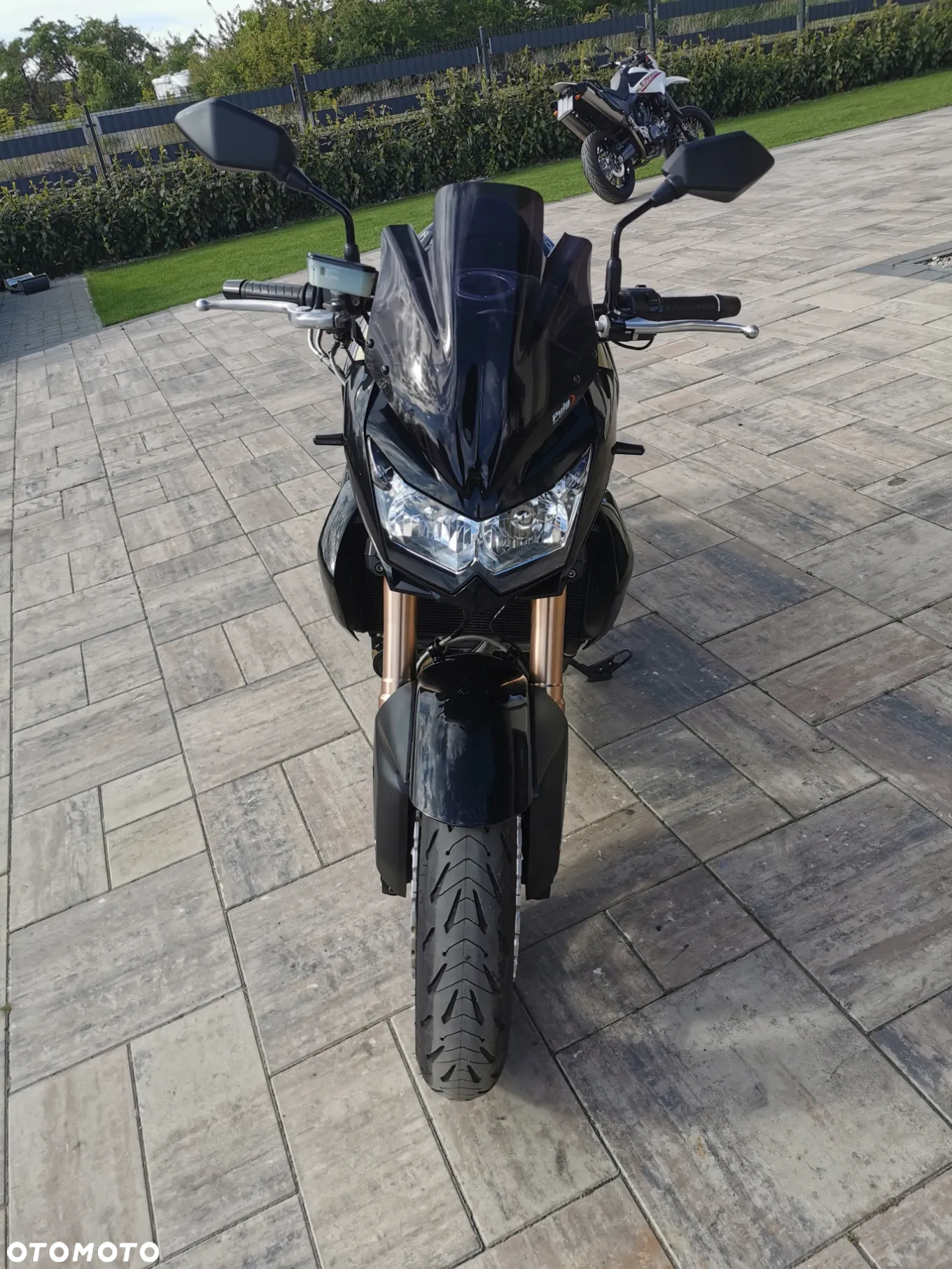 Kawasaki Z - 31