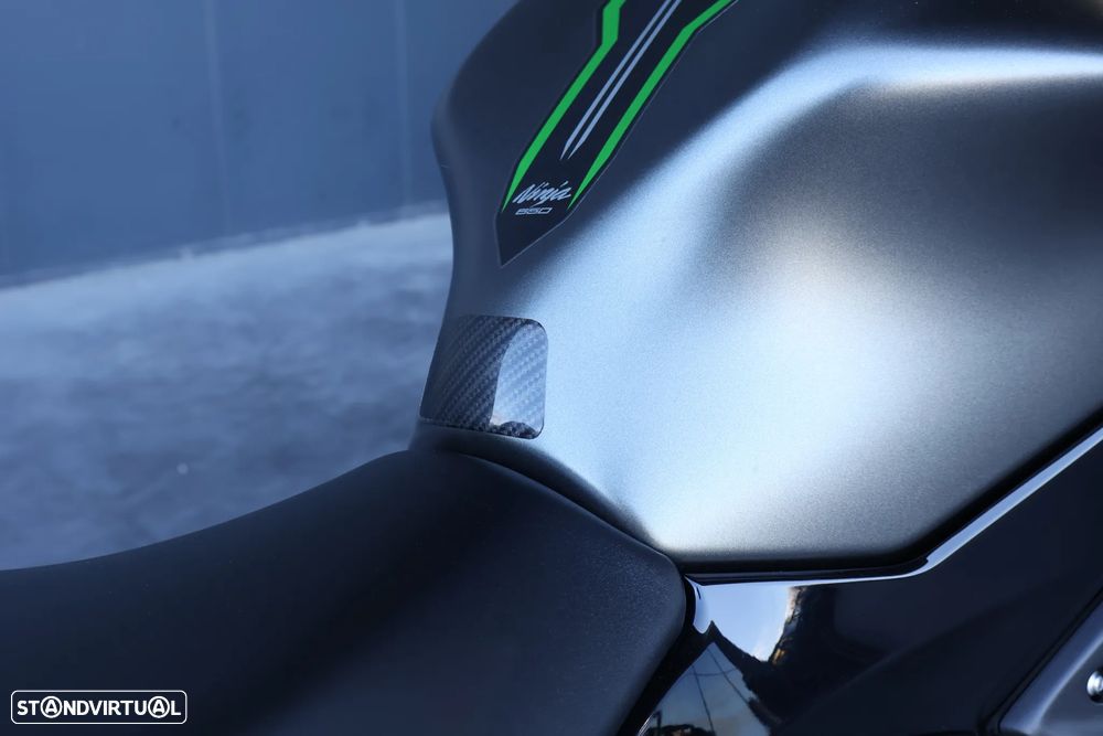 Kawasaki Ninja - 15