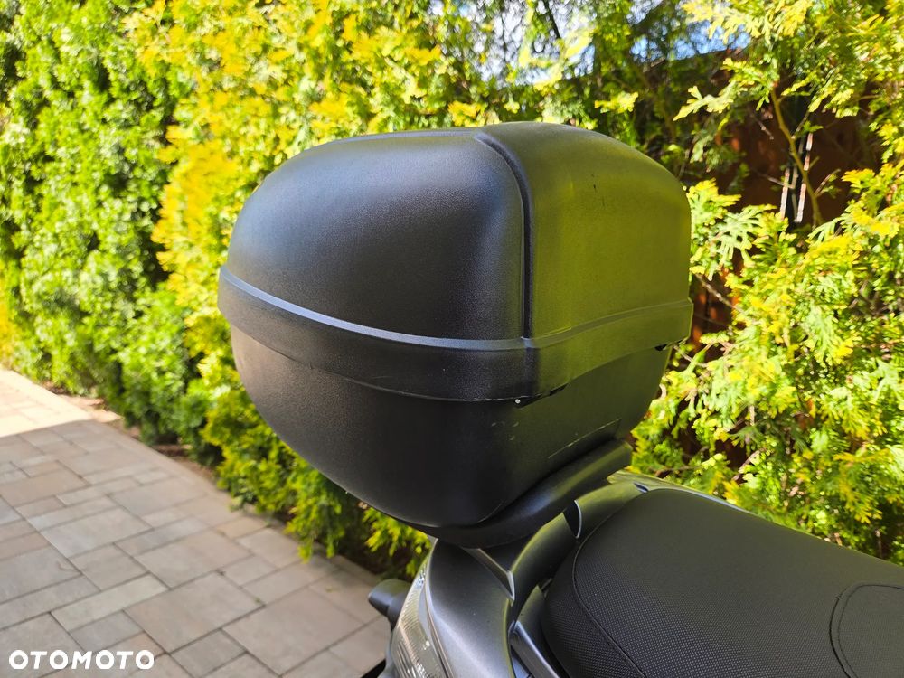 Piaggio Carnaby - 17