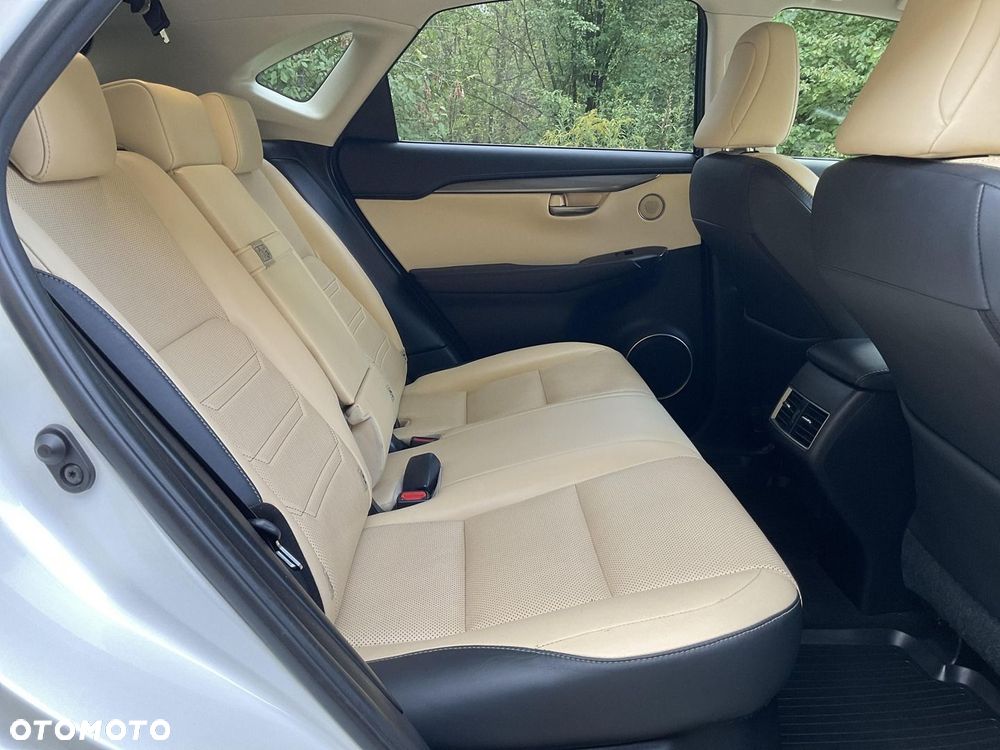 Lexus NX 300h Comfort AWD - 16