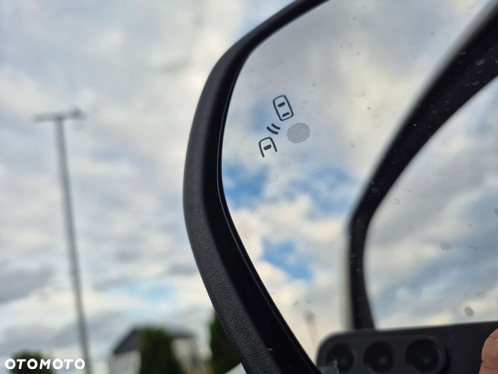 Ford Edge - 25