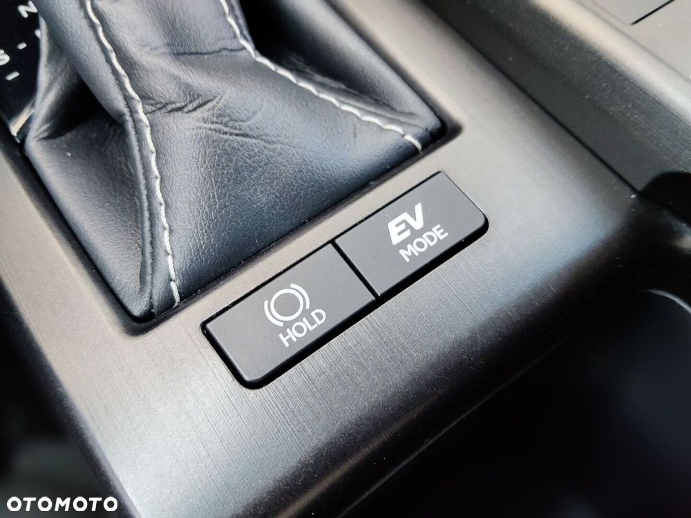 Lexus ES 300h Omotenashi - 29