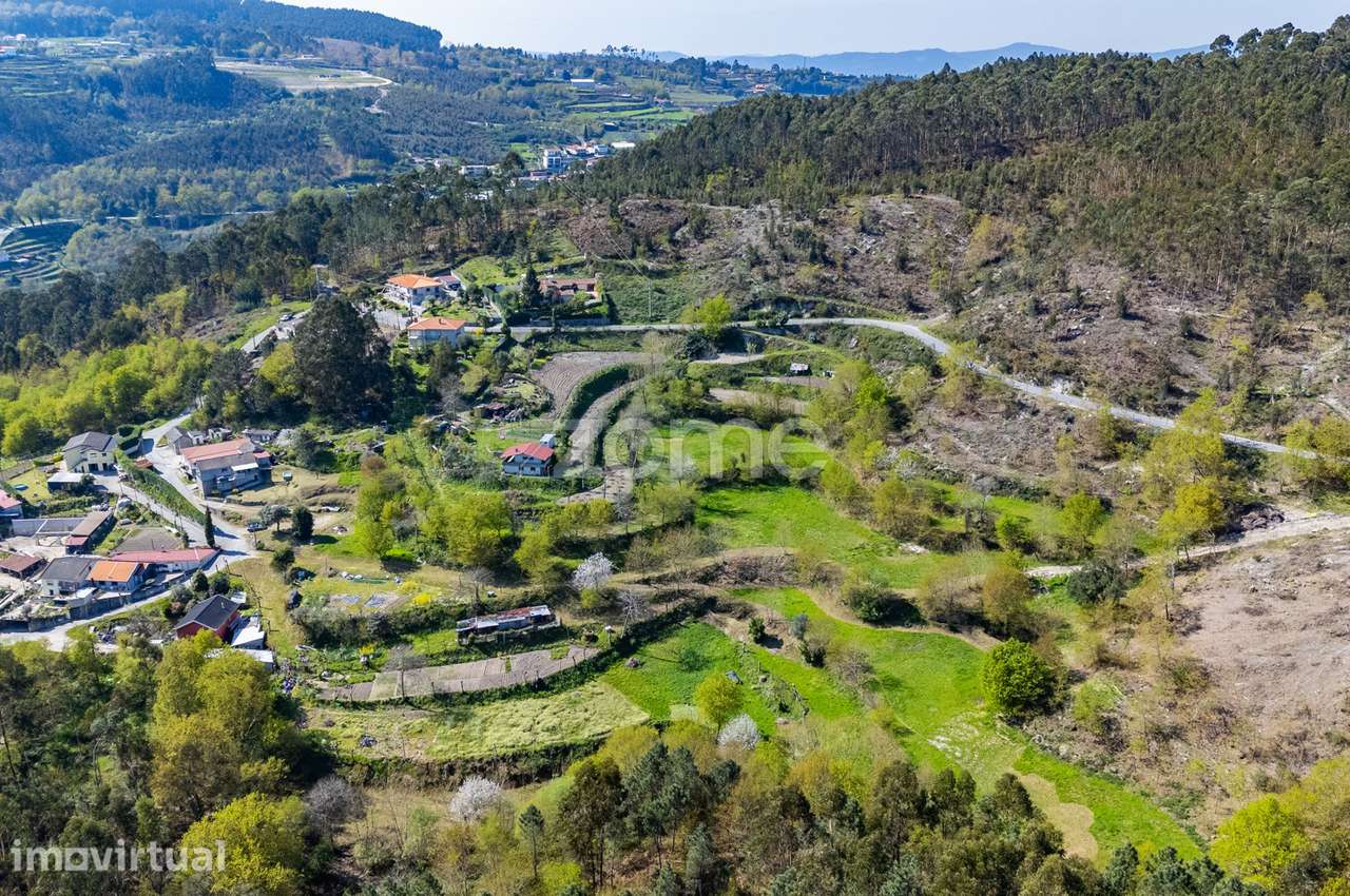 Terreno Rústico c/ 27850m² em Mesão Frio - Guimarães