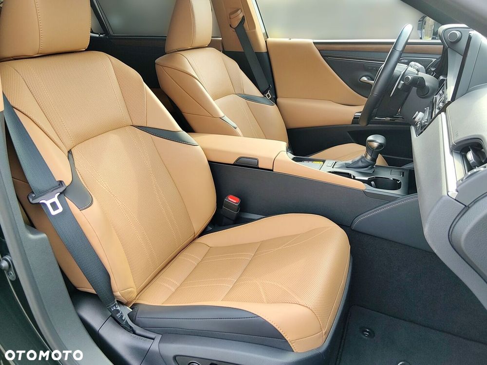 Lexus ES 300h Omotenashi - 12