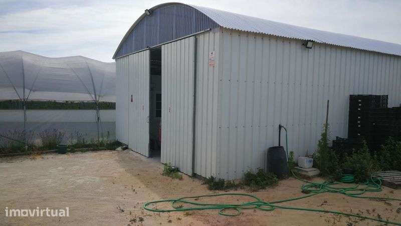 Quinta 2 hectares com armazém 140 m2, água e máquina de fertirega - Grande imagem: 2/4