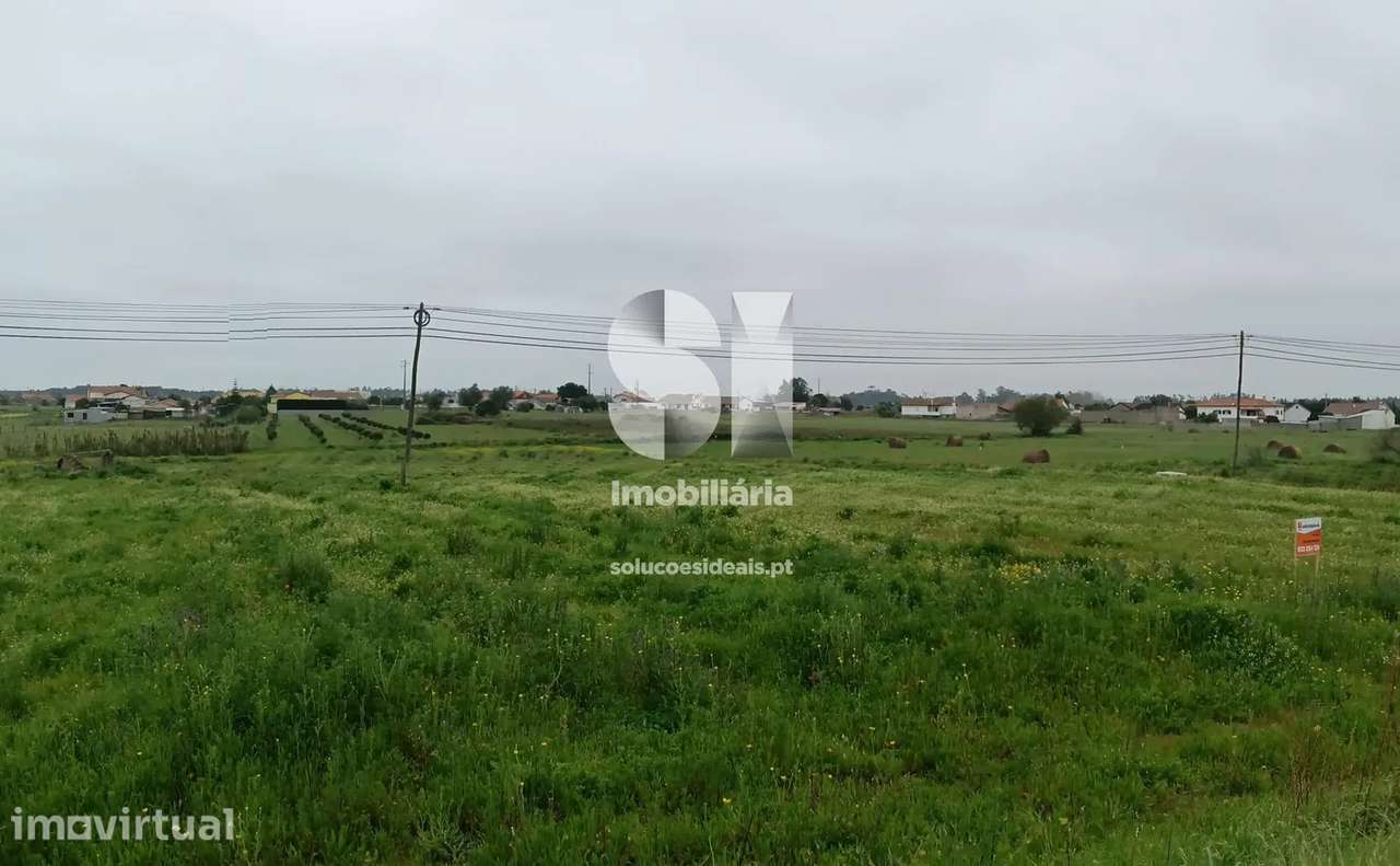 Terreno | Carvide - Grande imagem: 3/11