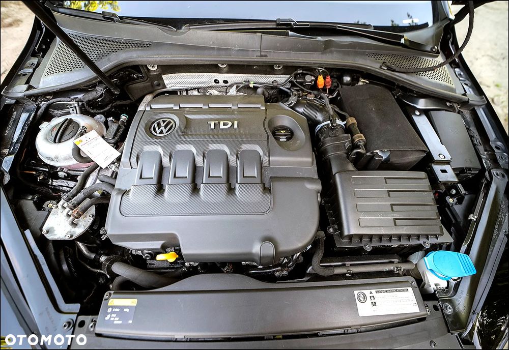 Volkswagen Golf - 40