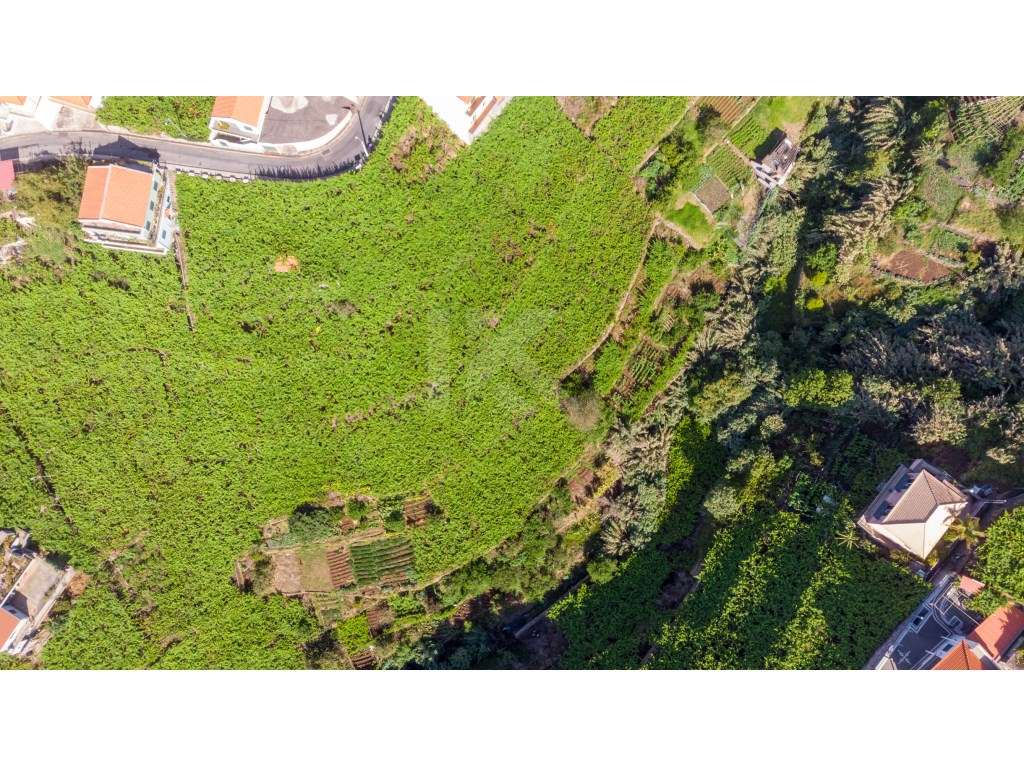 Lote Estreito de Câmara de Lobos - Grande imagem: 3/8