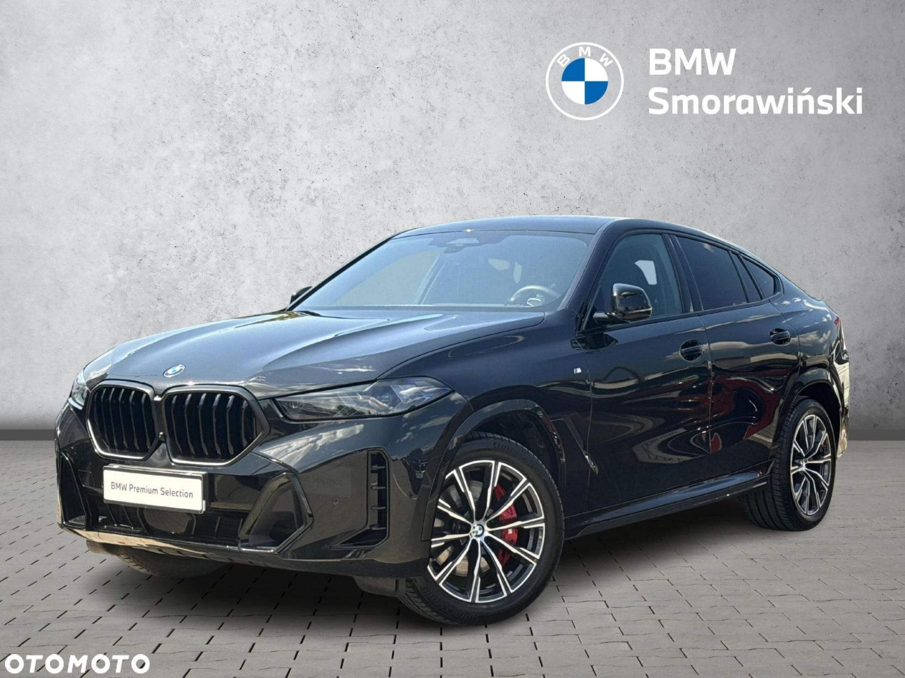 BMW X6 - 1
