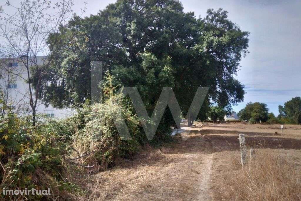 Terreno com 2100 m2 - Grande imagem: 5/15