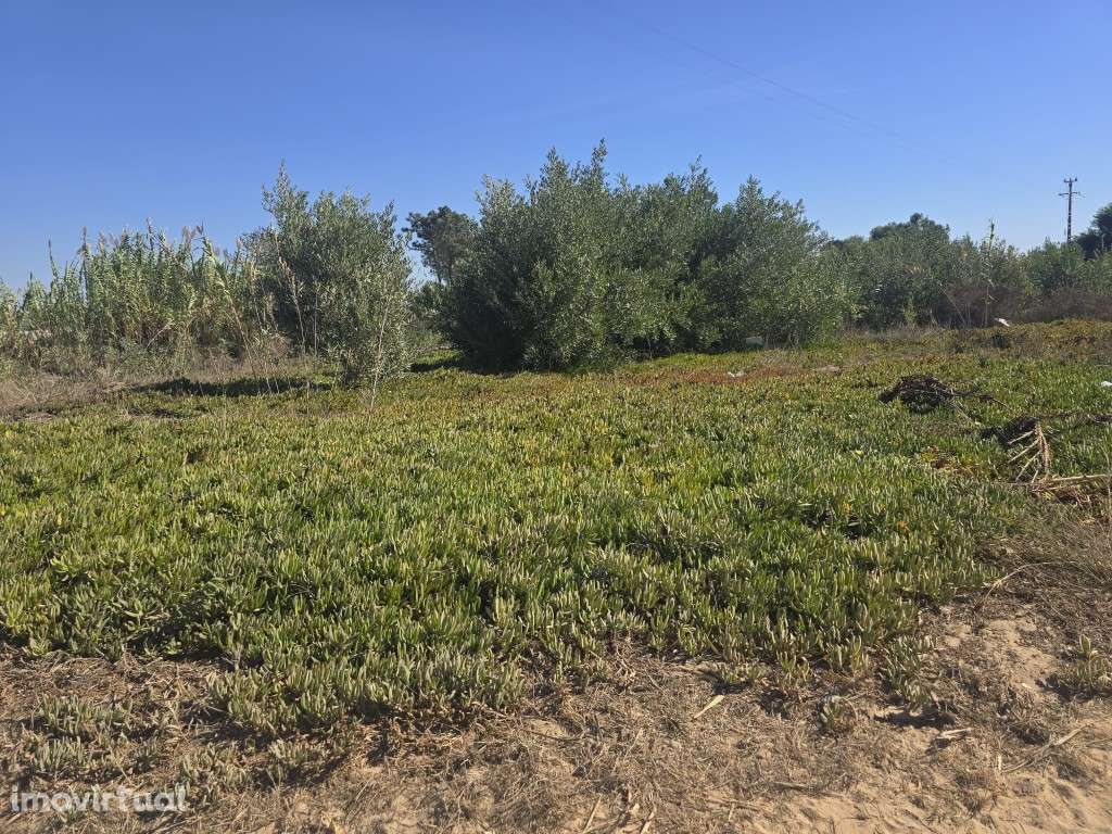 Terreno Rústico - Grande imagem: 2/5