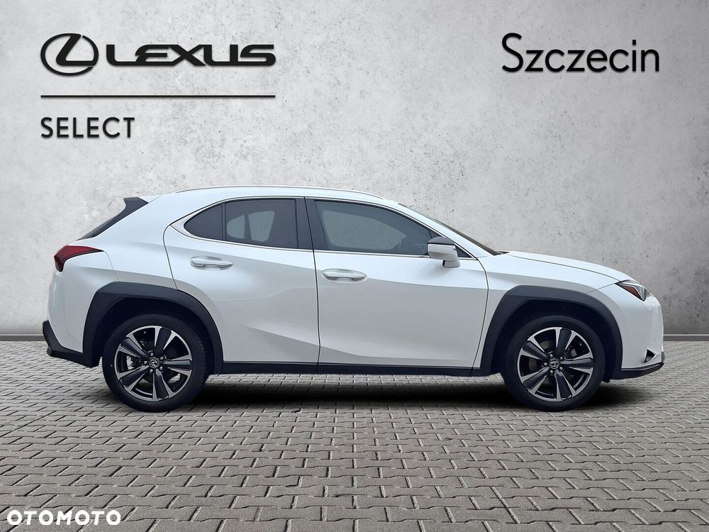 Lexus UX 250h GPF Business 2WD - 6