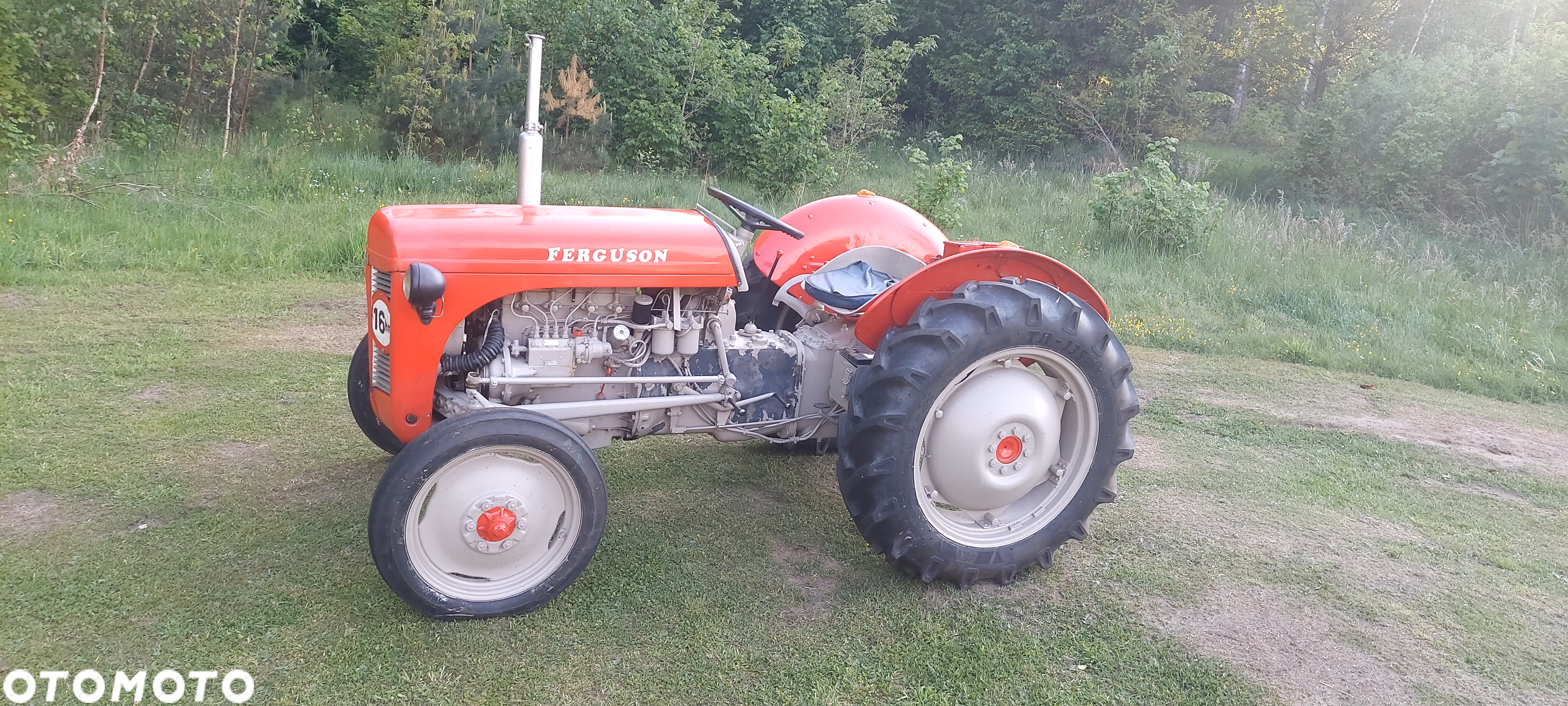 Massey Ferguson TEF-20 - 8
