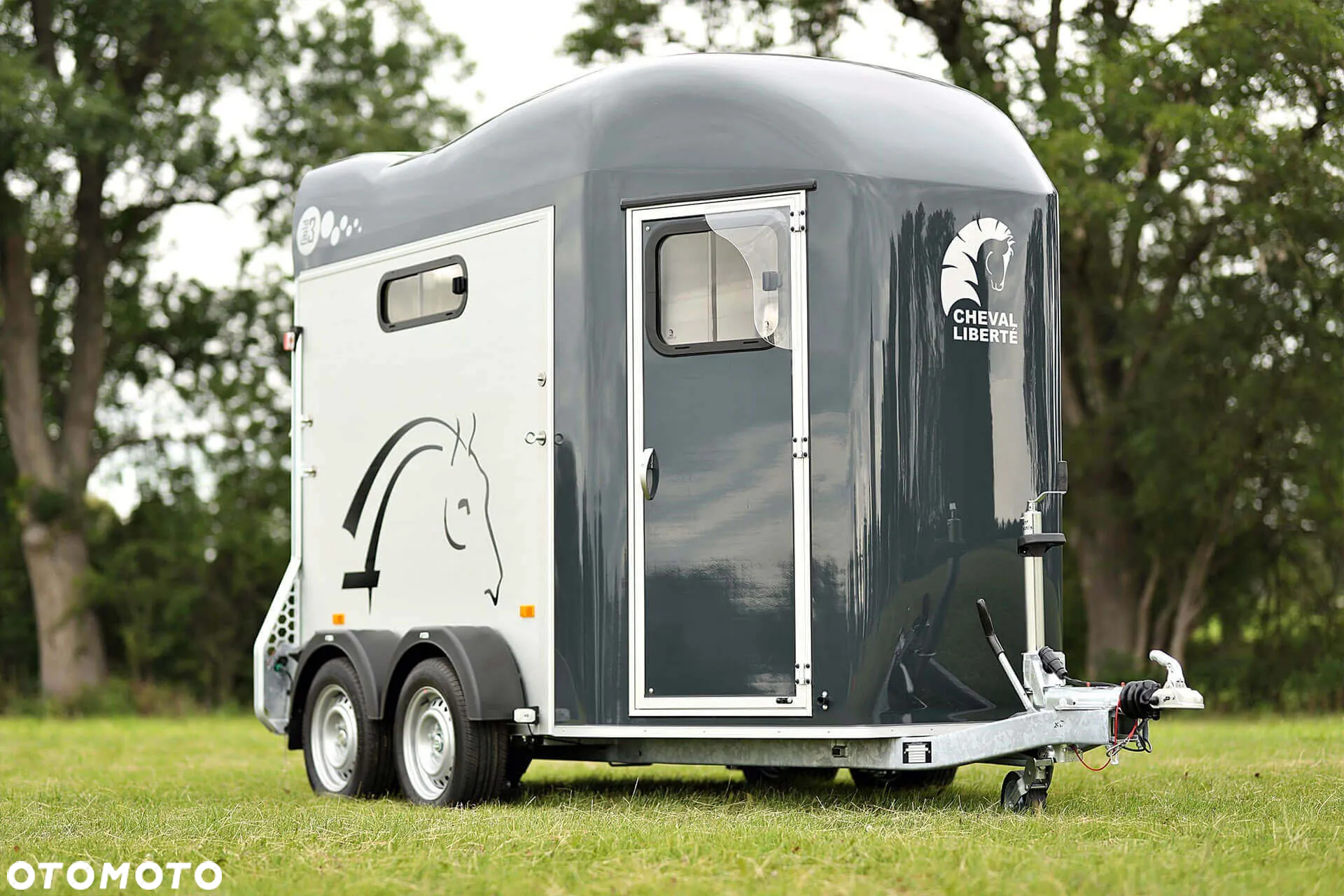Cheval Liberte Gold III - 23