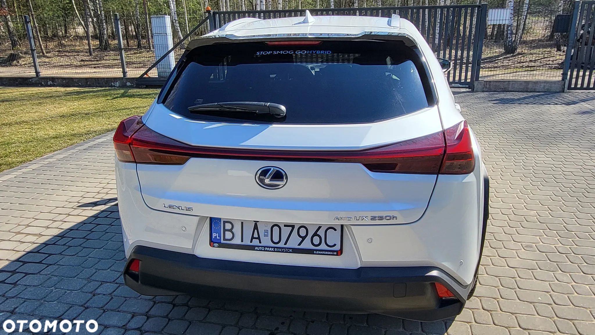 Lexus UX 250h GPF Business AWD - 10