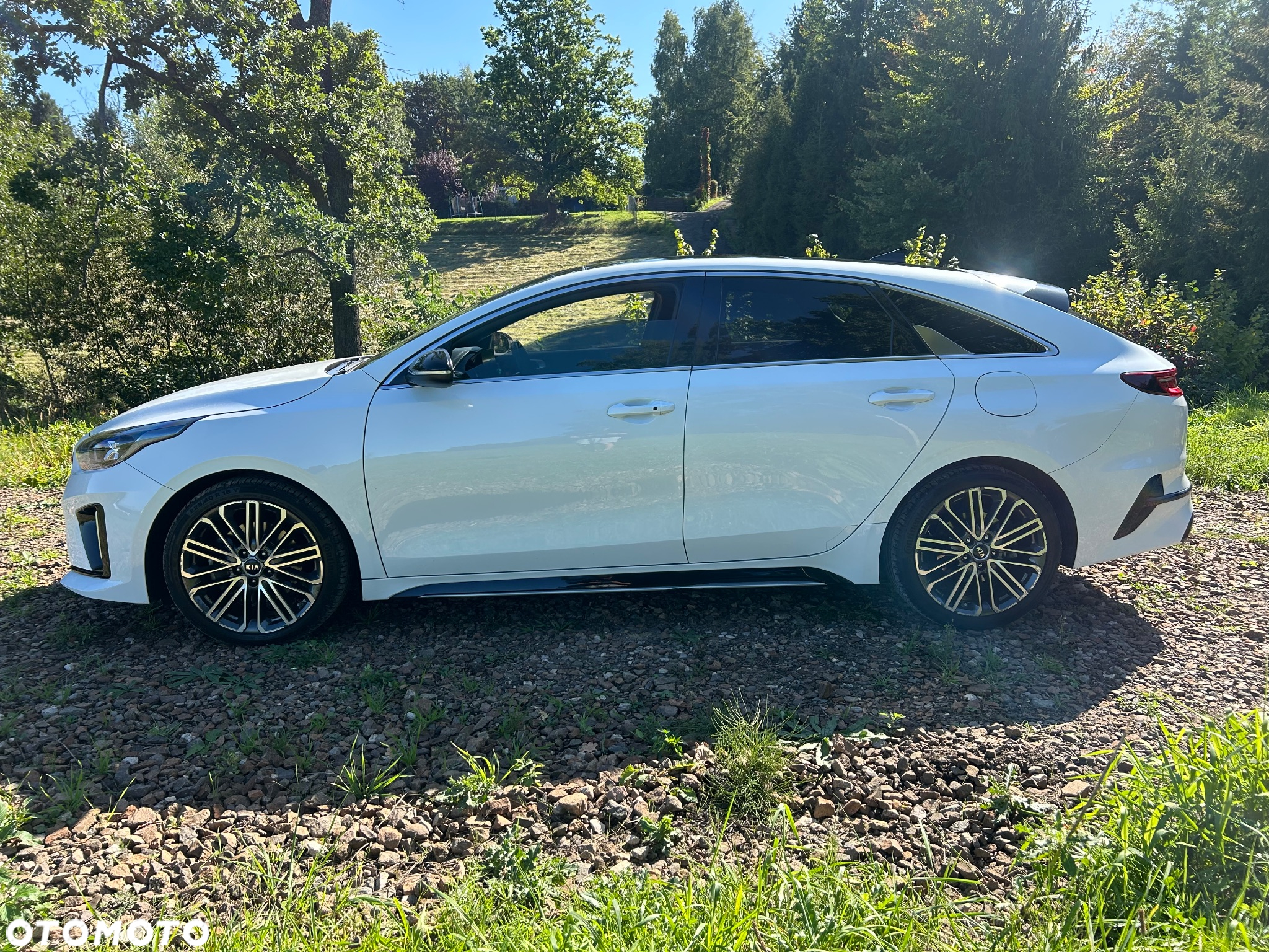 Kia ProCeed 1.6 CRDi DCT7 SCR GT LINE - 7