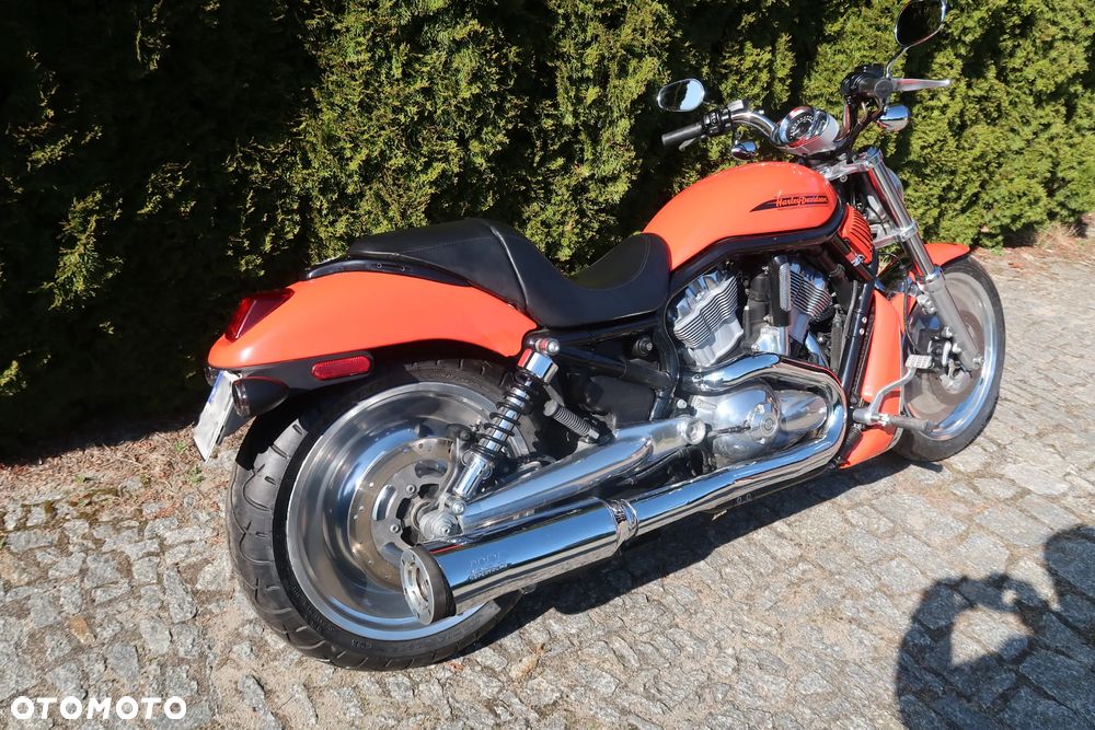 Harley-Davidson V-Rod Night Rod - 15