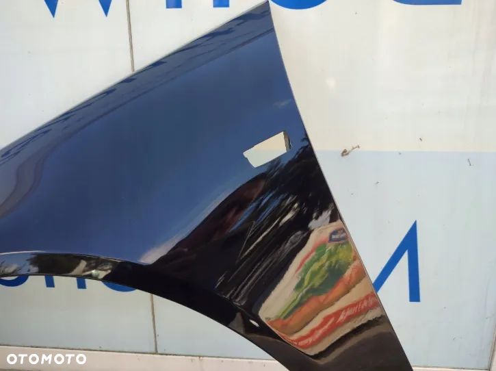 błotnik lewy przód przedni opel insignia a Z167 Z41C Z22A Z40R GAZ Z22C Z179 GEV Z190 Z177 Z10A GR5 GAN Z176 Z30K GAY Z163 Z195 H05 Z22W H07 Z22Y GB9 Z168 Z20R GBG Z22K GU9 Z168 Z163 Z50C 2GU Z50B GEK Z20Z GOP H05 GBF GR5 GAR GBI  GBJ GAL GEV GU9 GBG GEU GB9 Z22Y GEK - 9