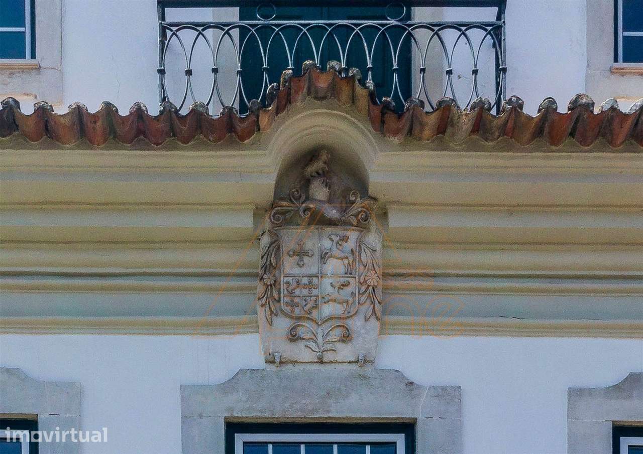 Herdade T8 - Anadia - Aveiro/ Venda - Grande imagem: 4/60