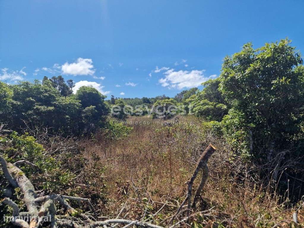 Terreno com 31944m2 no Cabeço Chão na Madalena Ilha do Pico - Grande imagem: 4/15