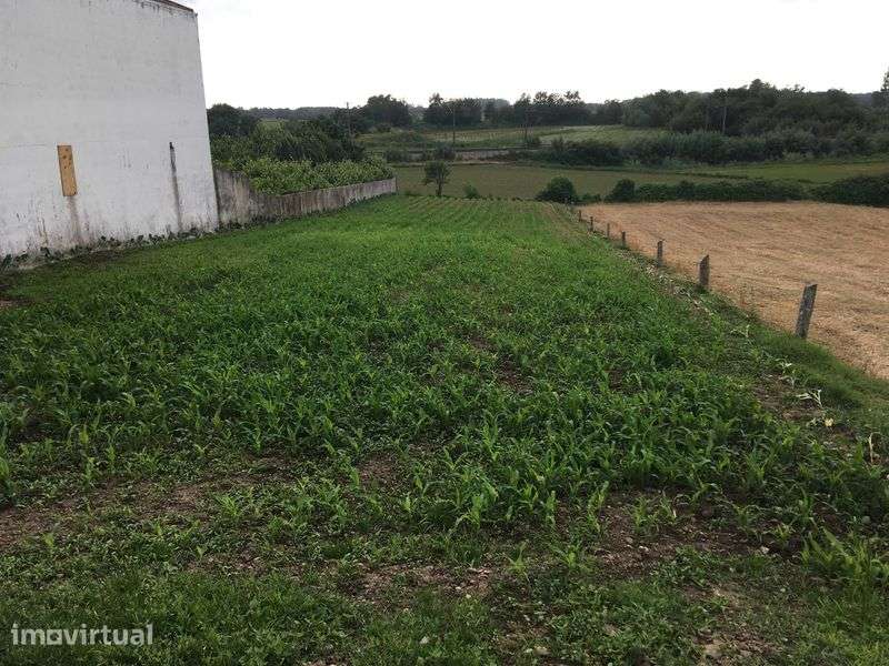 Terreno em Salreu - Grande imagem: 2/2