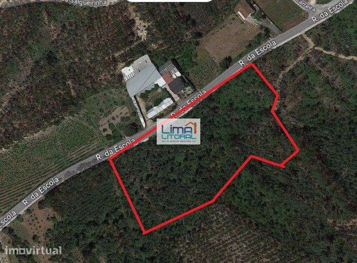 Terreno com 12.230 m2 - parcialmente em zona de construção - Arrabal - Grande imagem: 2/4