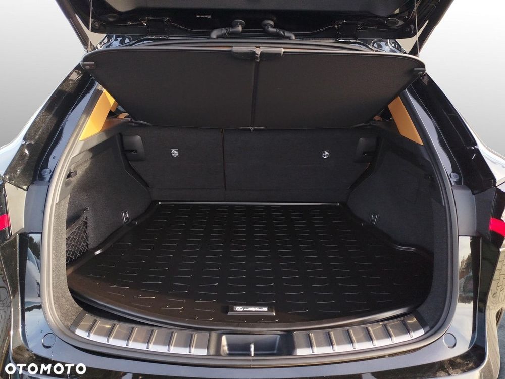Lexus NX - 17