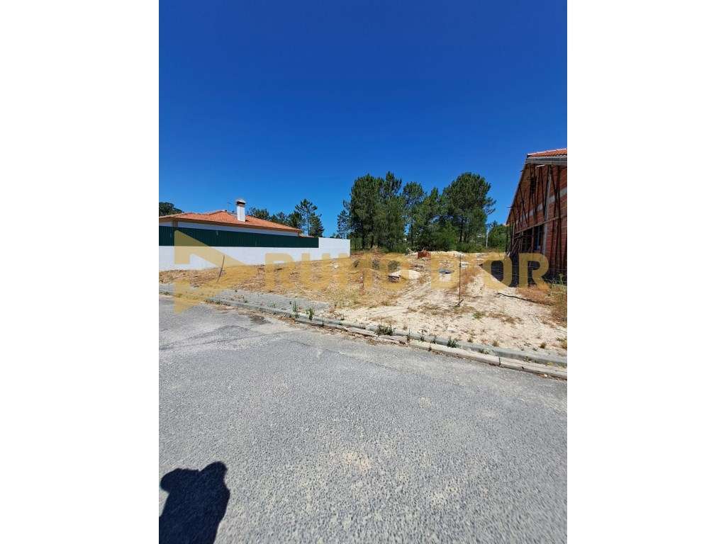 Lote Terreno em Vale da Pedra - Cartaxo - Grande imagem: 3/5