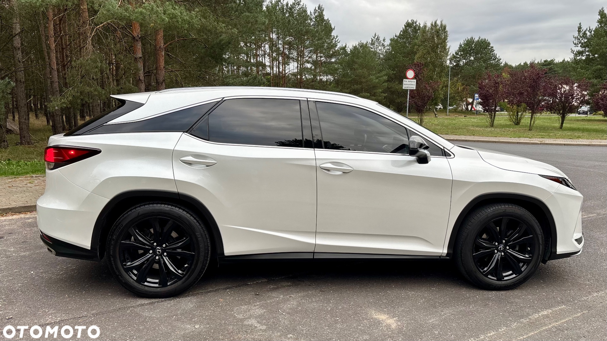 Lexus RX 300 Business Edition + - 3