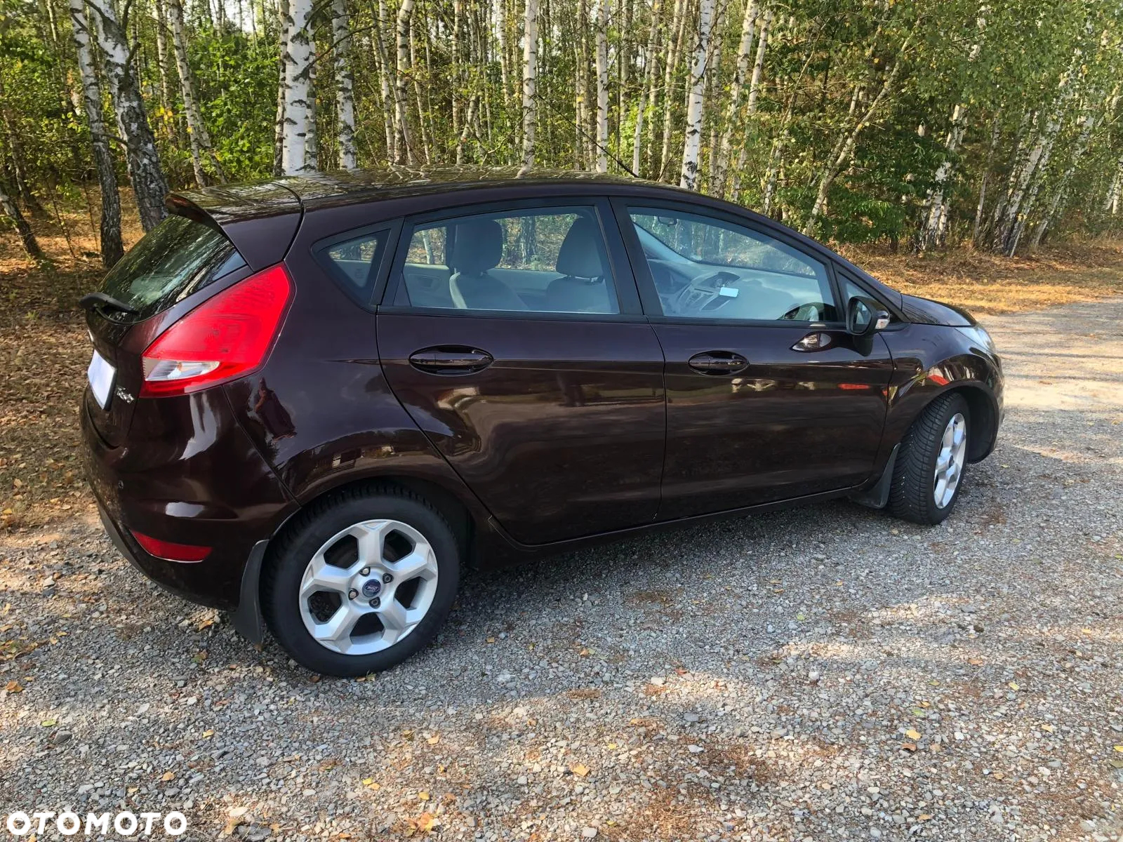 Ford Fiesta 1.25 Gold X EU5 - 10