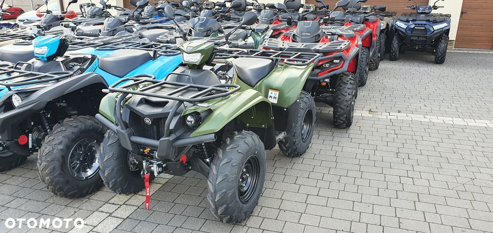 Can-Am Renegade - 32