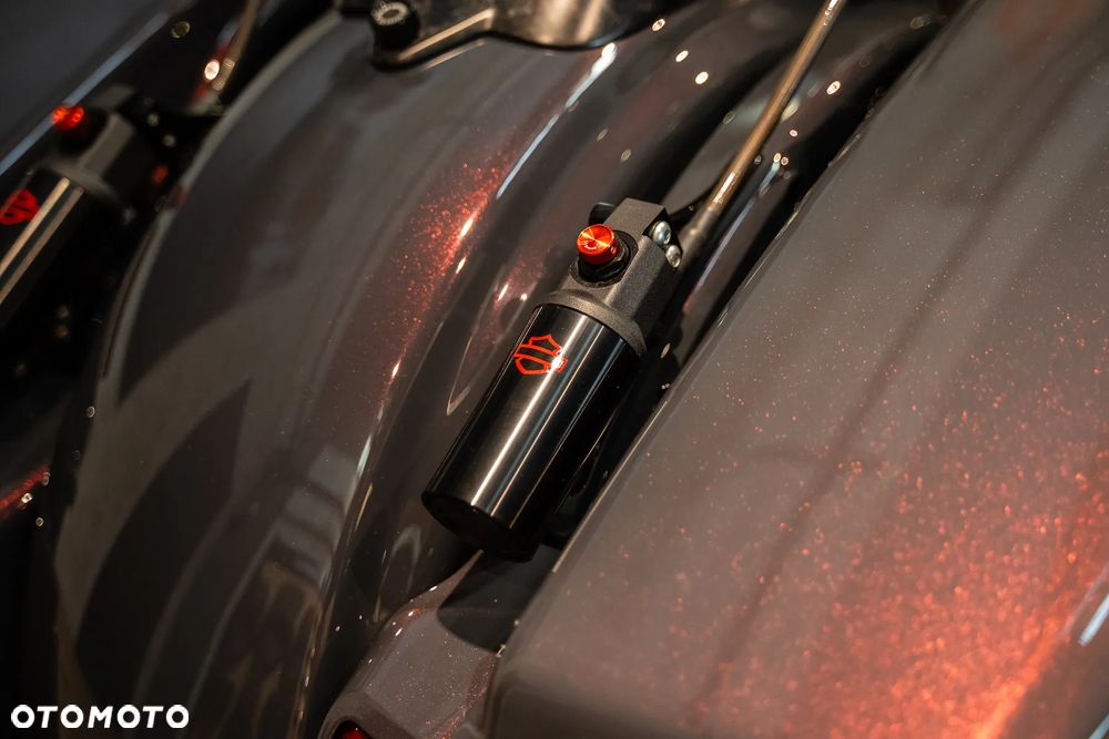 Harley-Davidson CVO Street Glide - 20