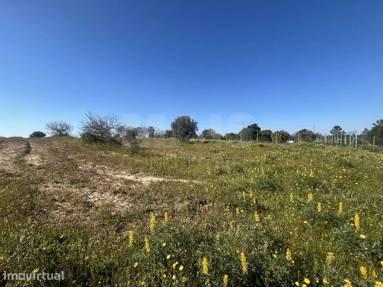 Terreno 12000 m2 em Foros da Charneca - Grande imagem: 4/9
