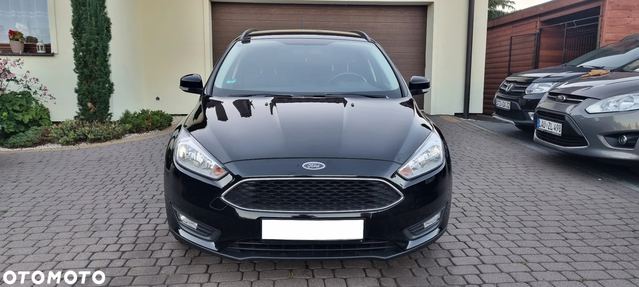 Ford Focus - 5