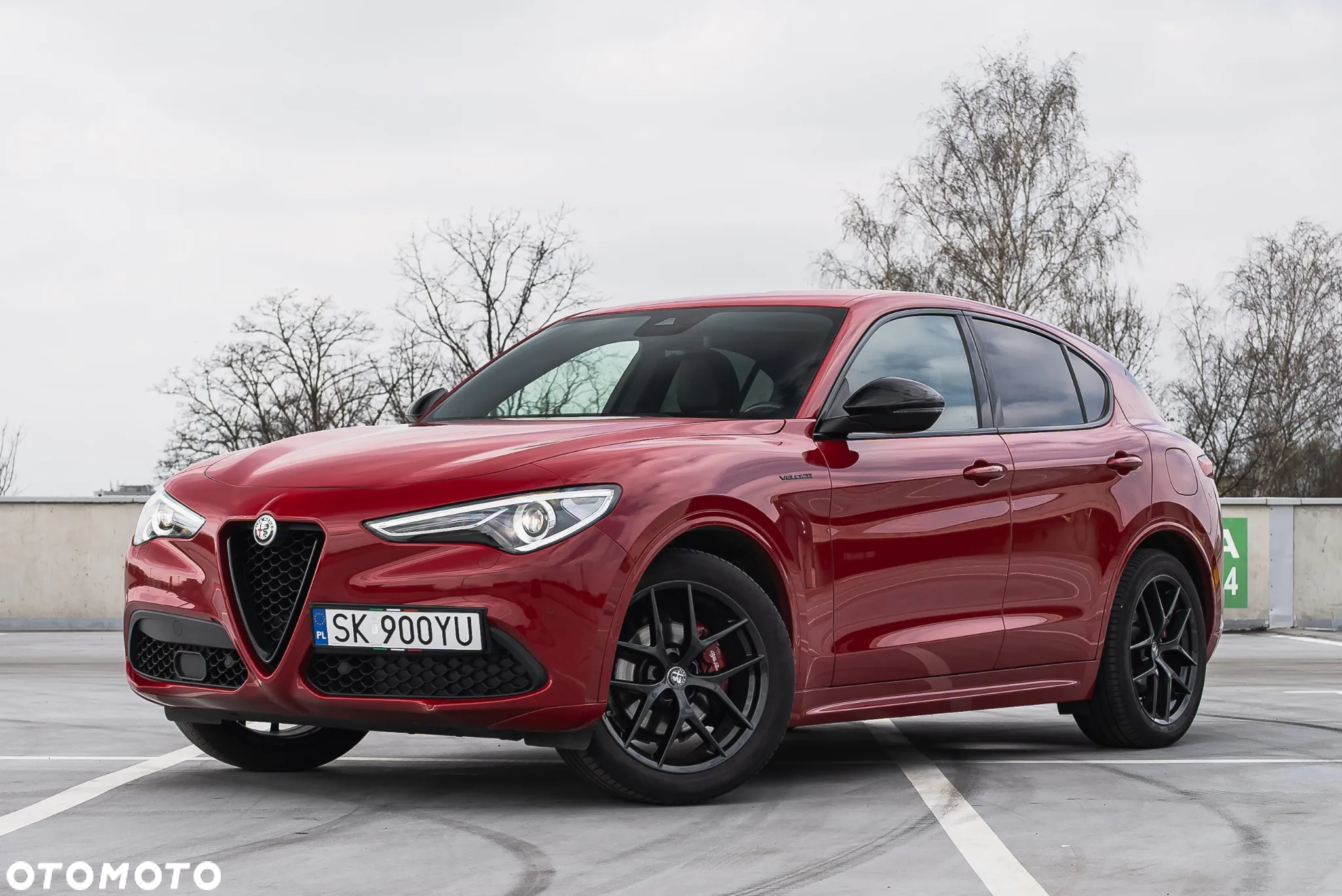 Alfa Romeo Stelvio 2.0 Turbo Veloce Q4 - 3