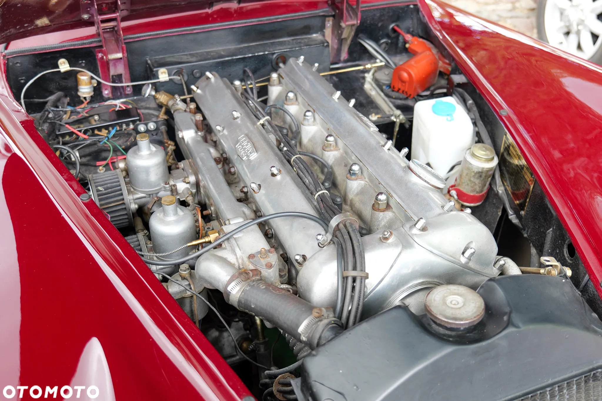 Jaguar XK - 27